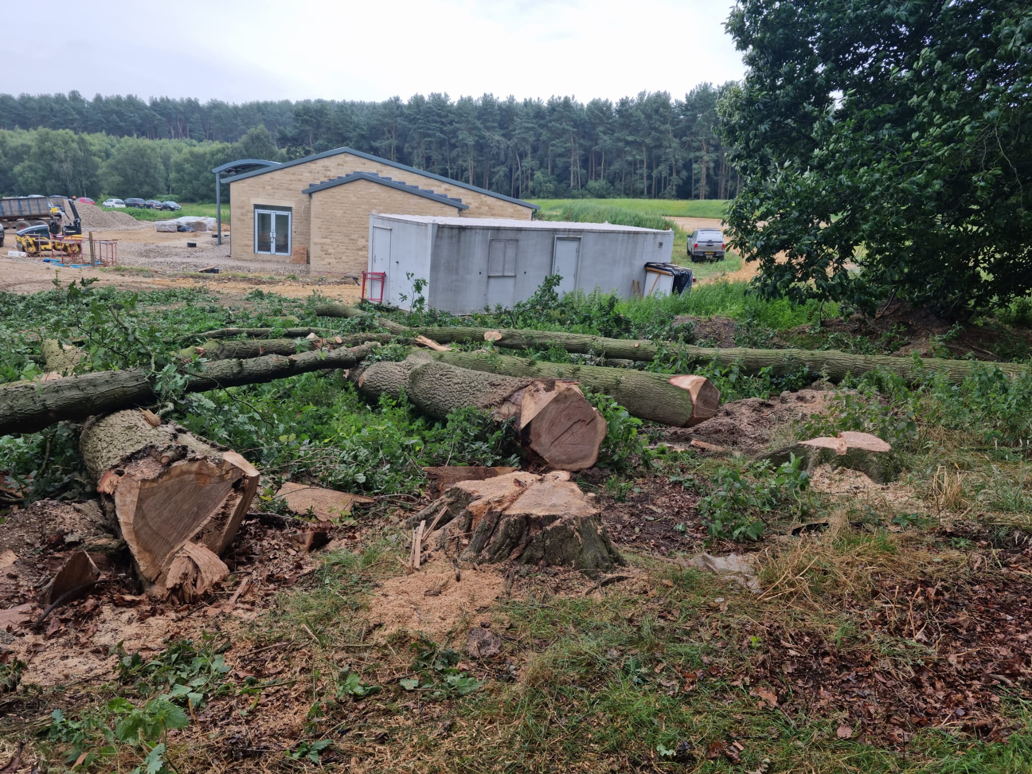 Site Clearance in York Professional Tree Clearance DRL Tree Care